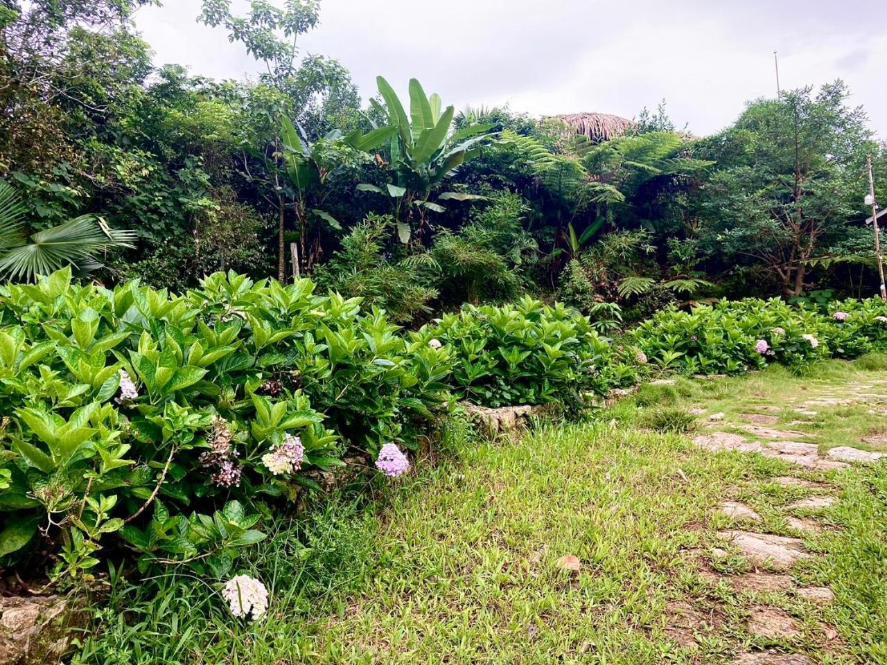 Tvpalm Ecolodge ห่าซาง ภายนอก รูปภาพ