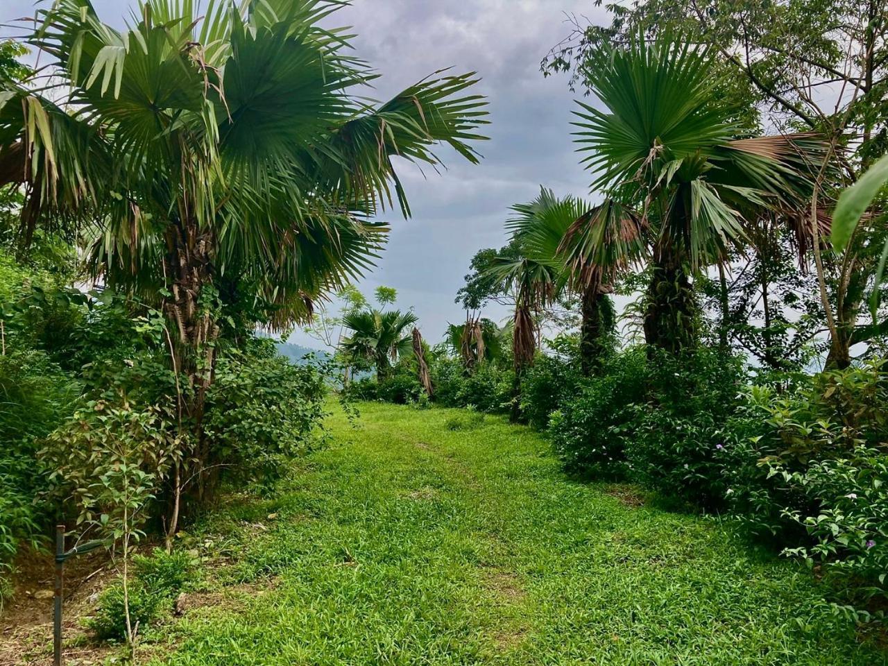 Tvpalm Ecolodge ห่าซาง ภายนอก รูปภาพ