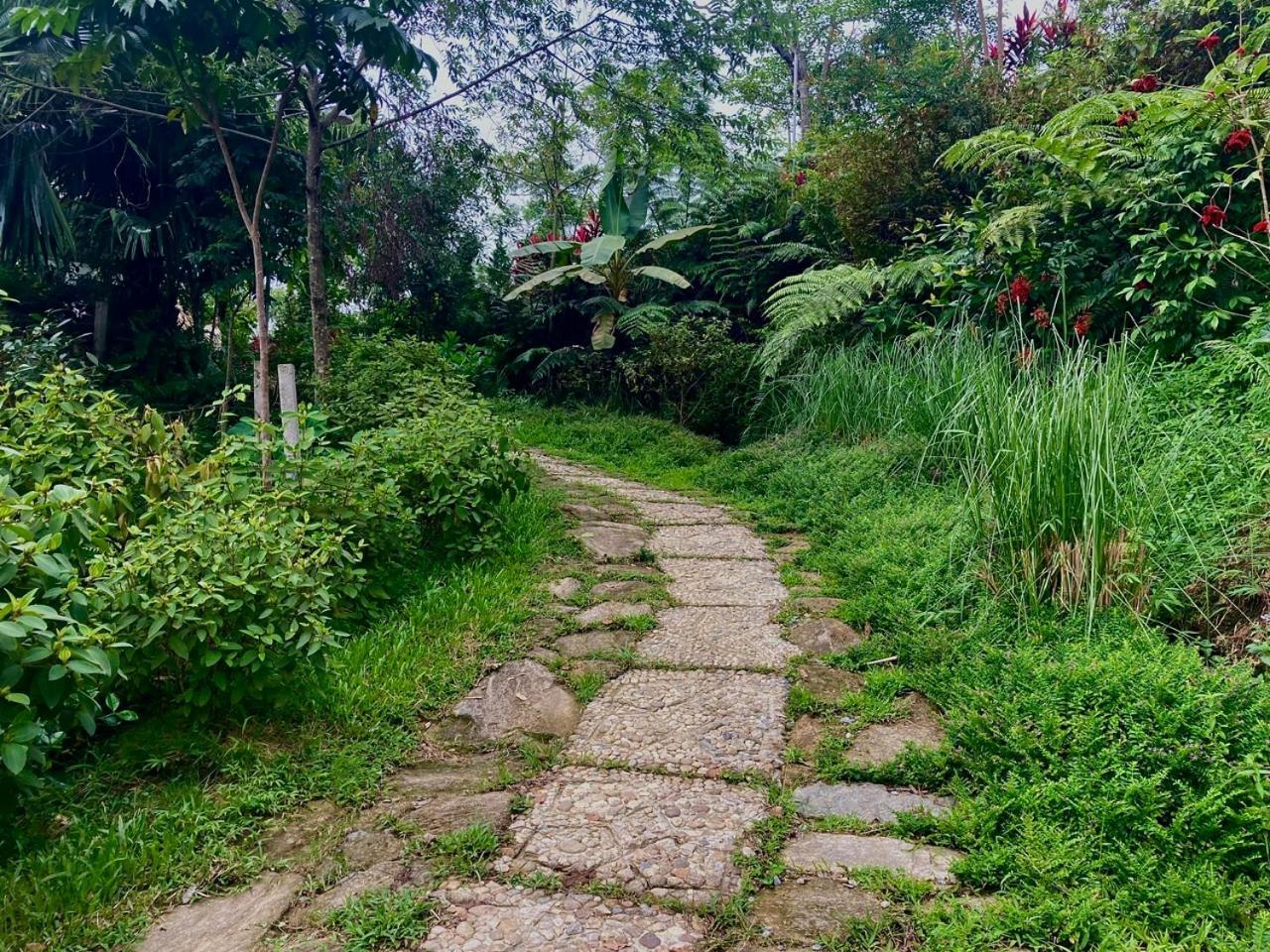 Tvpalm Ecolodge ห่าซาง ภายนอก รูปภาพ